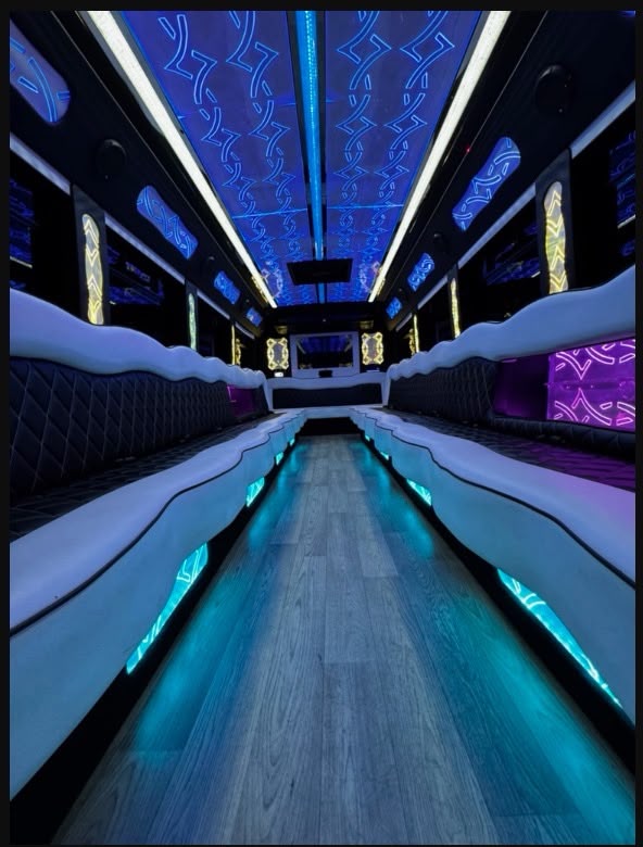 Party Bus (40 Pax) in the USA
